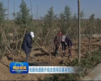 张新线道路升级改造项目基本完工